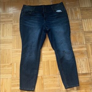 Blue Spice Dark Wash Women's Skinny Jeans